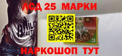 скорость Гатчина