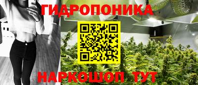 скорость Гатчина