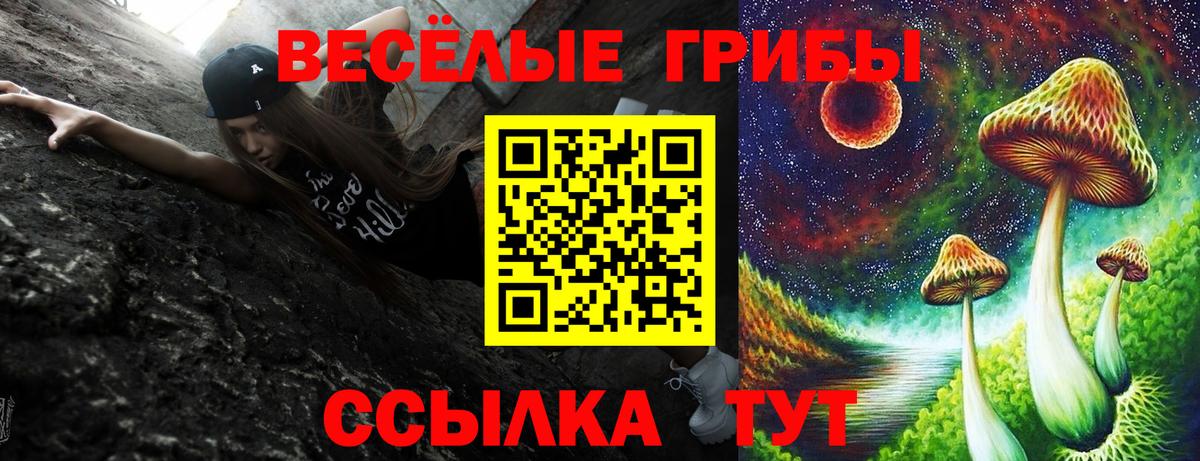 Павловский Посад  Псилоцибиновые грибы MAGIC MUSHROOMS  Вход с VPN  Галлюциногенные грибы ЛСД 